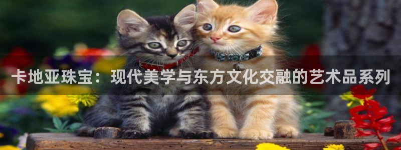 天宏娱乐指尖会