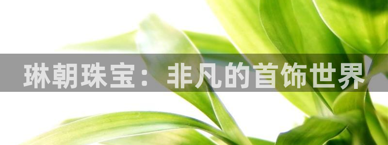 宏天娱乐会所