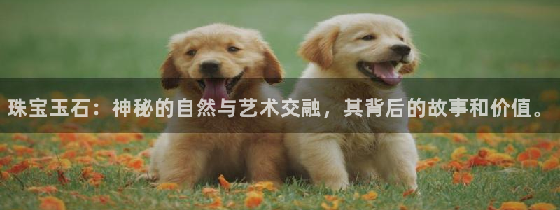 天宏娱乐有明星吗