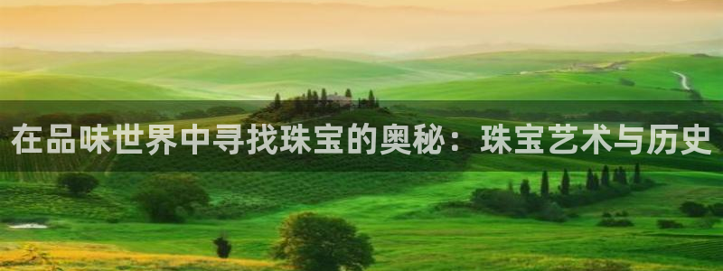 天宏娱乐j 判官