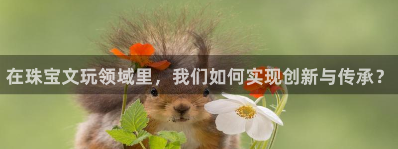 天宏娱乐小号怎么玩的