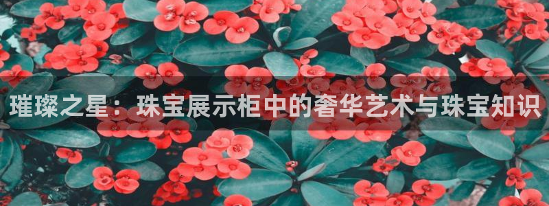 天宏娱乐是什么