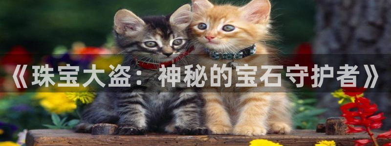 天宏娱乐实f力803466