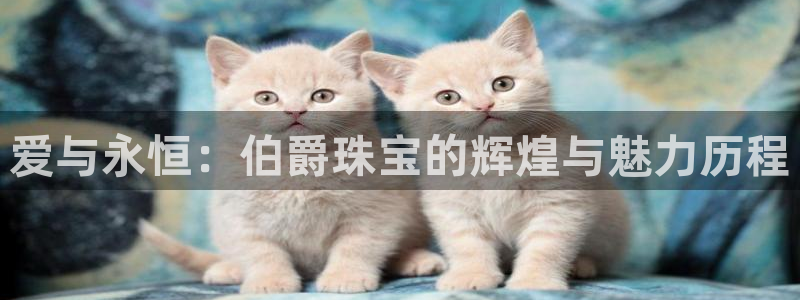 天宏娱乐正在直播
