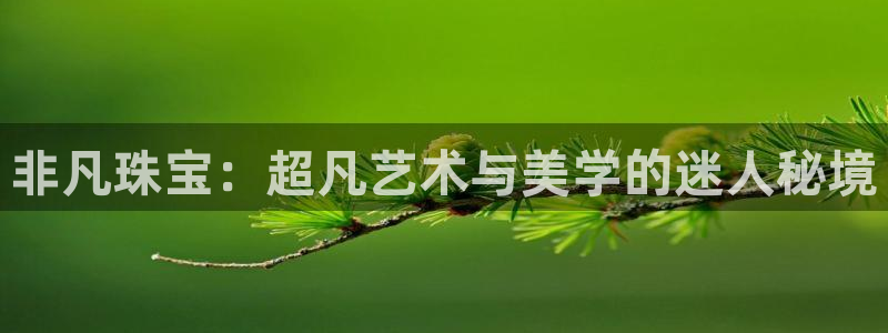 西安天宏娱乐老男孩