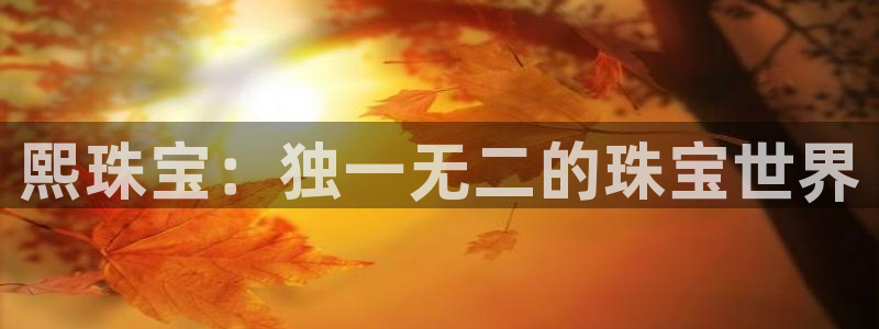 天宏娱乐客服