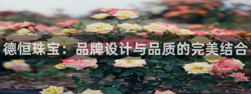 天宏娱乐待遇