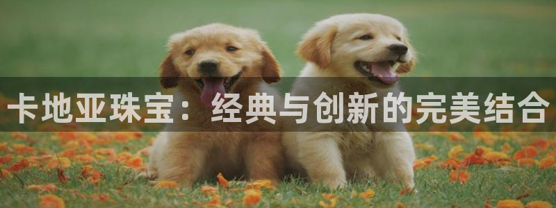 天宏娱乐js
