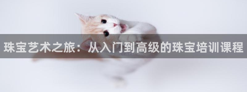 天宏娱乐老男孩吴叔