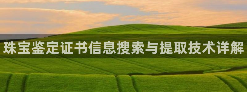 天宏娱乐石叔简介图片