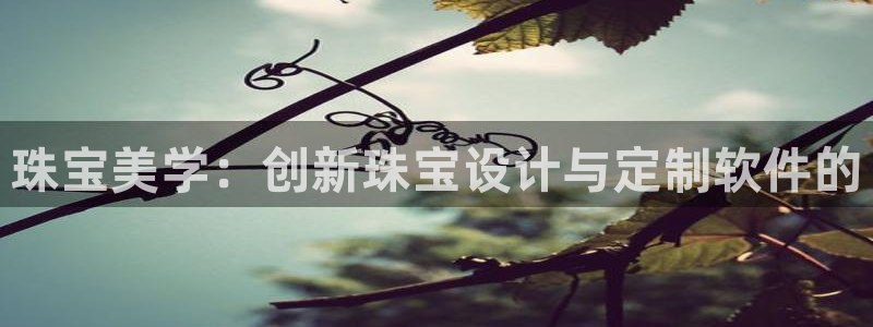 天宏娱乐集团代理