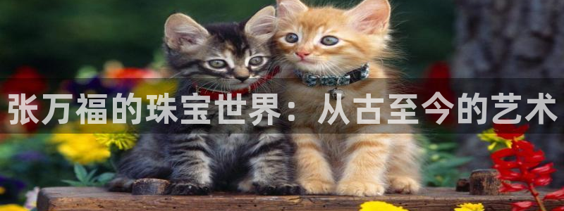 天宏娱乐是干嘛的