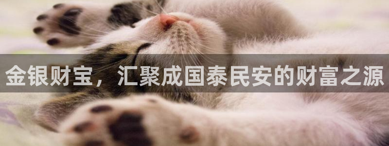 天宏娱乐a OO判官