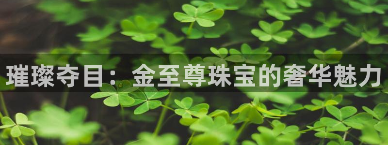 天宏娱乐正在直播