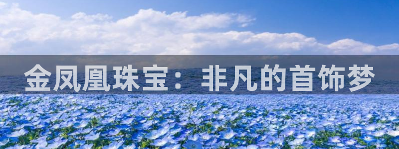 天宏娱乐 22376