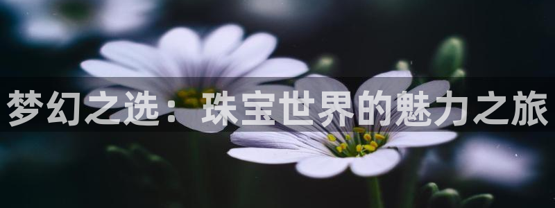 天宏娱乐e 判官