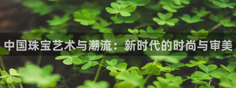 天宏娱乐男孩团