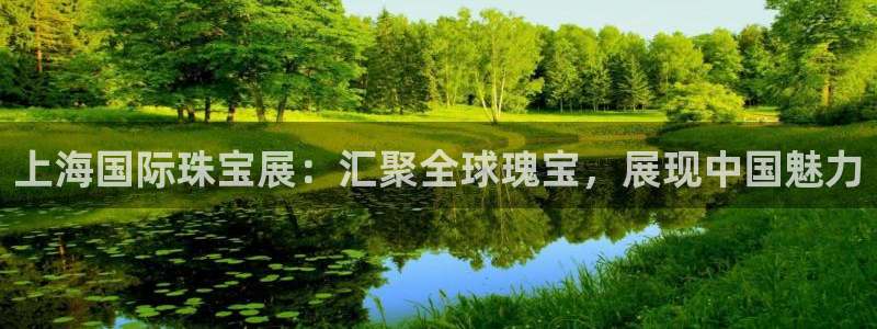天宏娱乐董事长简历