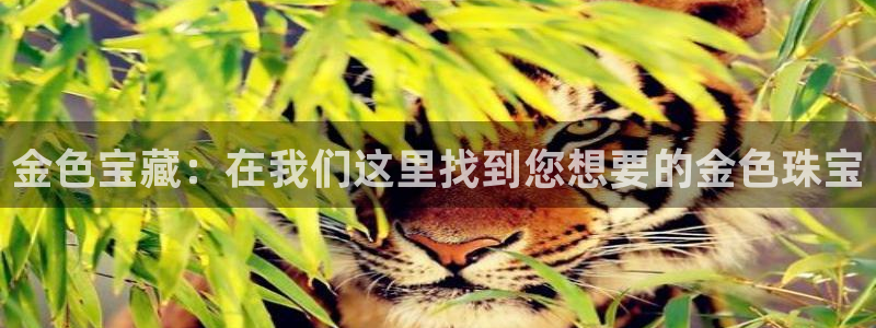 天宏娱乐66