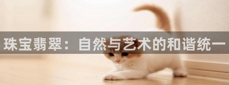 天宏娱乐app