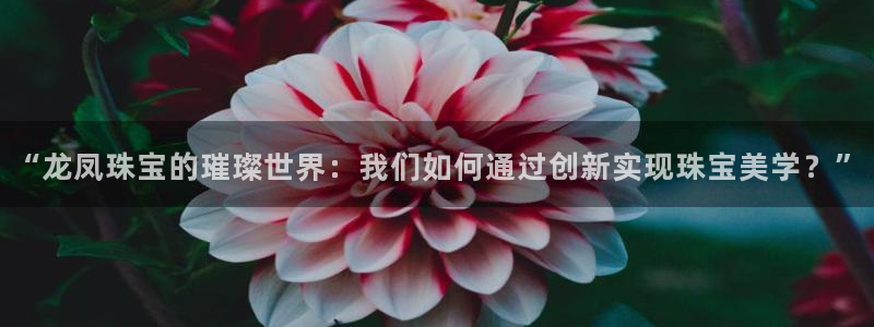 天宏娱乐js