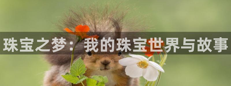 天亿娱乐宏发团队成员