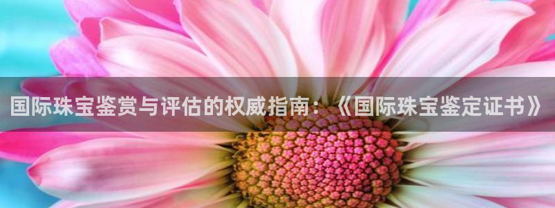 天宏娱乐 老板