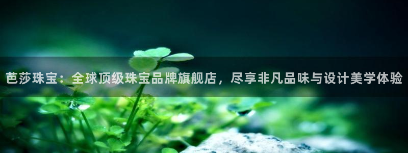 天宏娱乐朱俊伟