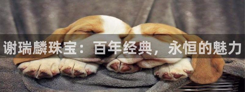 天宏娱乐可靠吗