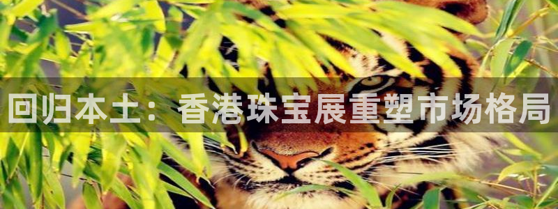 天宏娱乐王总
