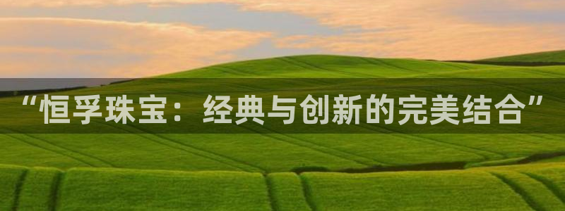 天宏娱乐集团