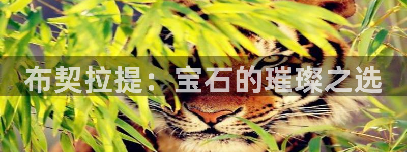 天宏娱乐湖北