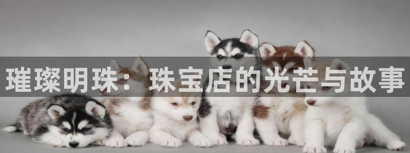 天宏娱乐董事长