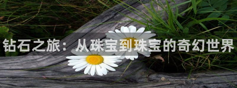天宏娱乐怎么注册：钻石之旅：从珠宝到珠宝的奇幻世界