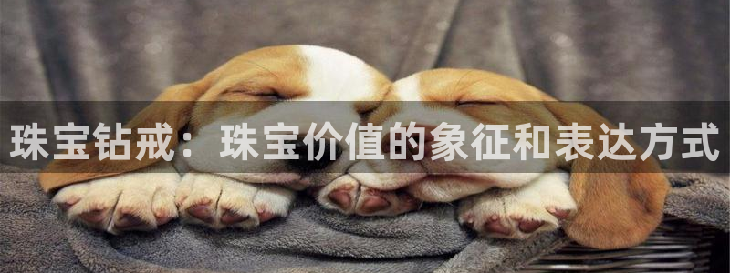 天宏娱乐d 判官：珠宝钻戒：珠宝价值的象征和表达方式