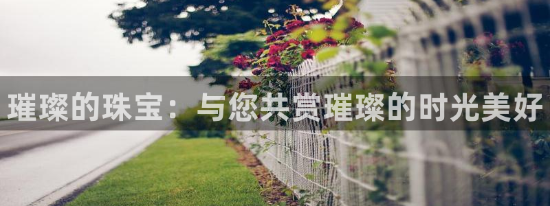 天宏娱乐集团代理