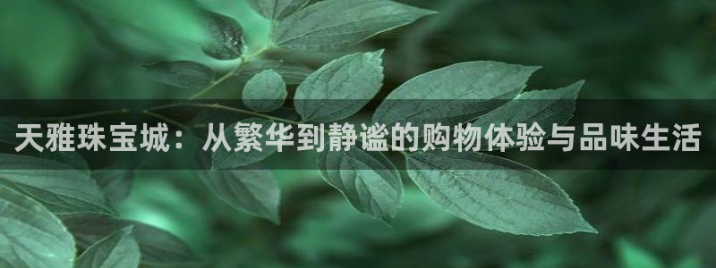 天宏娱乐青峰