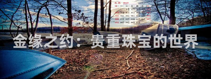 天宏娱乐g OO判官：金缘之约：贵重珠宝的世界