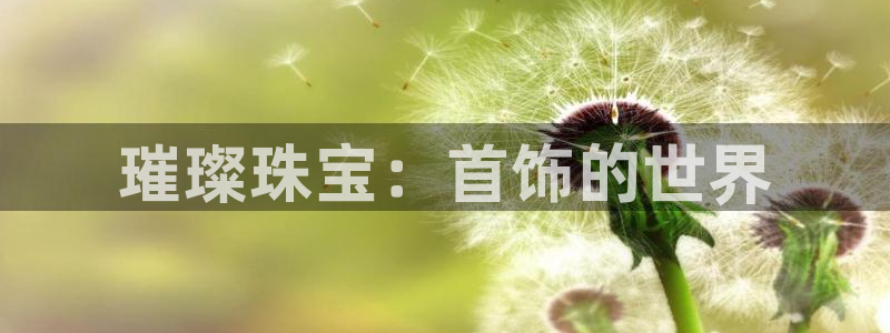 西安天宏娱乐团