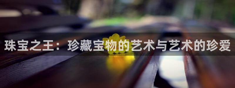 天宏娱乐客服：珠宝之王：珍藏宝物的艺术与艺术的珍爱