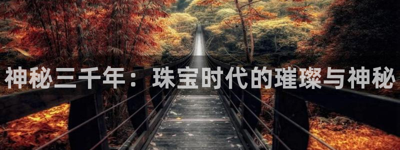 天宏娱乐董叔