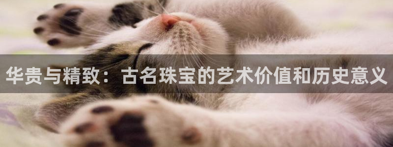天宏娱乐创始人河源：华贵与精致：古名珠宝的艺术价值和历史意义