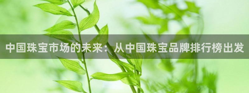 天宏娱乐会所电话
