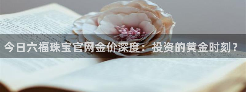 天宏娱乐小号是什么软件