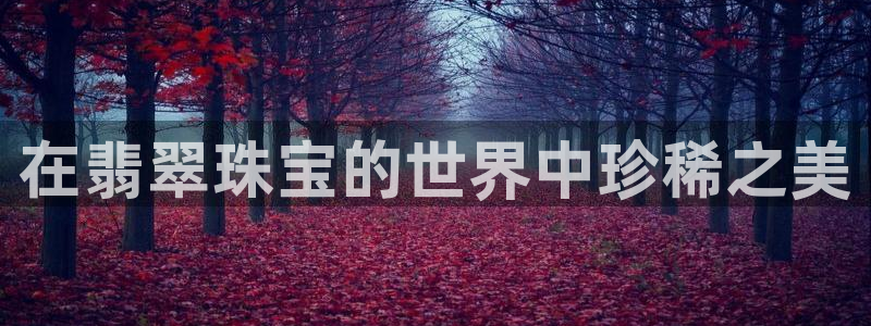 天宏娱乐时时彩