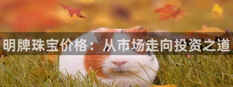 天宏娱乐app平台怎么下载