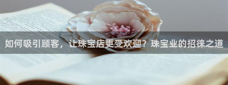 天宏娱乐招商