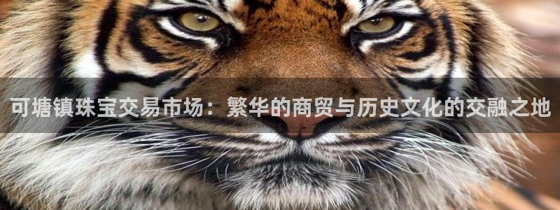 天宏娱乐开业晚宴