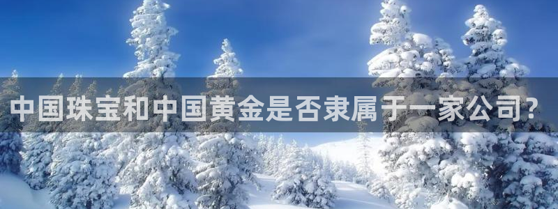 天宏娱乐怎样赚钱的