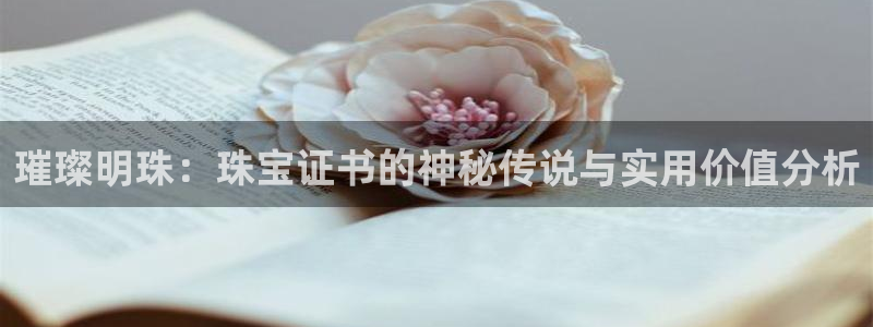 天宏娱乐在哪里
